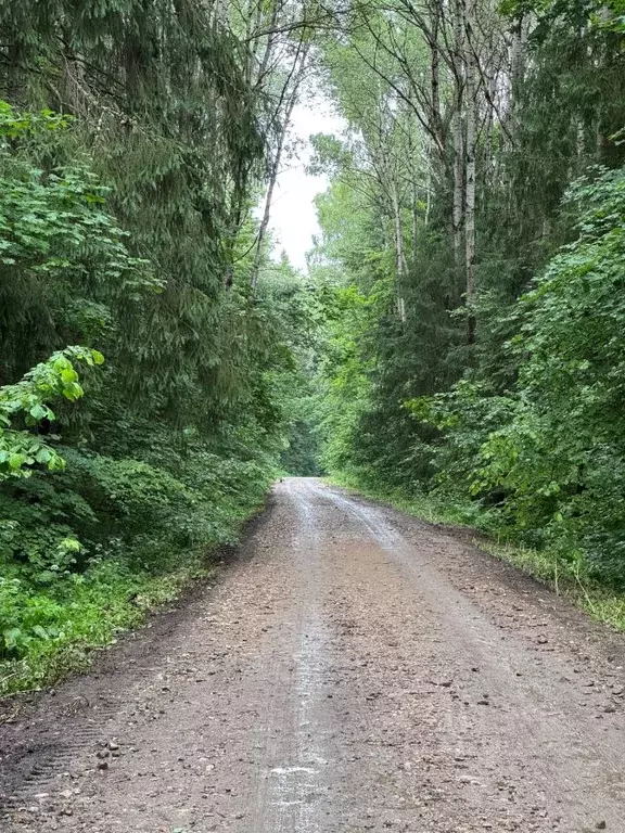 Дом в Московская область, Клин городской округ, Родник СНТ 85 (78 м) - Фото 2