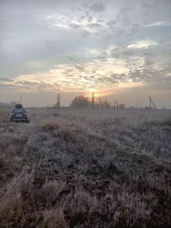 Участок в Волгоградская область, Среднеахтубинский район, ... - Фото 1