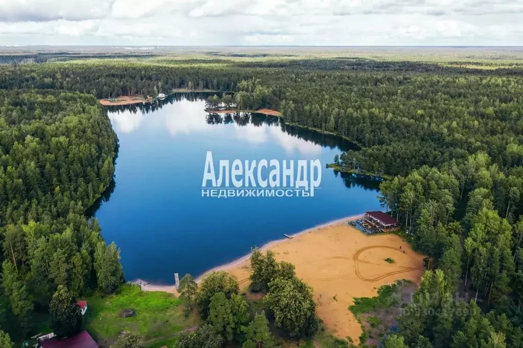 Участок в Ленинградская область, Всеволожский район, Колтушское ... - Фото 2