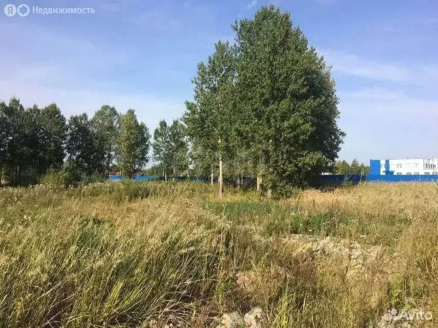 Участок в Тюменский район, деревня Якуши, Уральская улица (8 м) - Фото 1