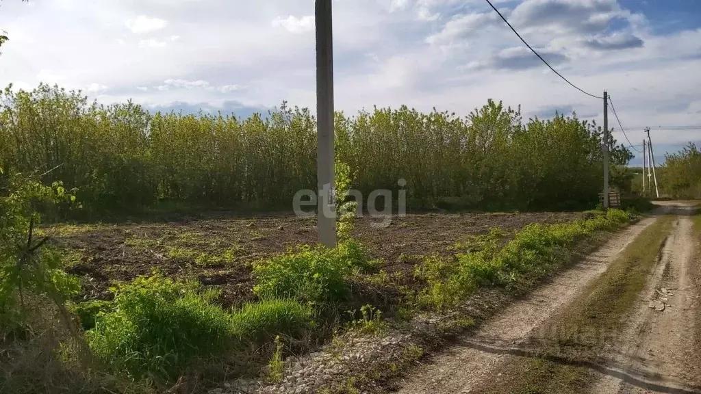 Участок в Воронежская область, с. Семилуки ул. Виноградная (8.2 сот.) - Фото 0