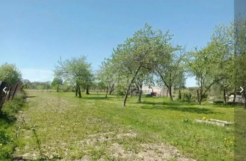 Участок в Калужская область, Малоярославецкий муниципальный округ, ... - Фото 2