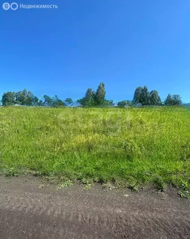 Участок в село Малая Черга, Центральная улица (10 м) - Фото 1