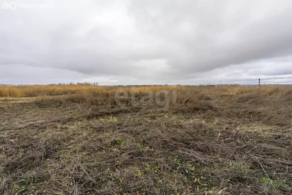Участок в Тукаевский район, деревня Азьмушкино, микрорайон Подсолнухи, ... - Фото 0