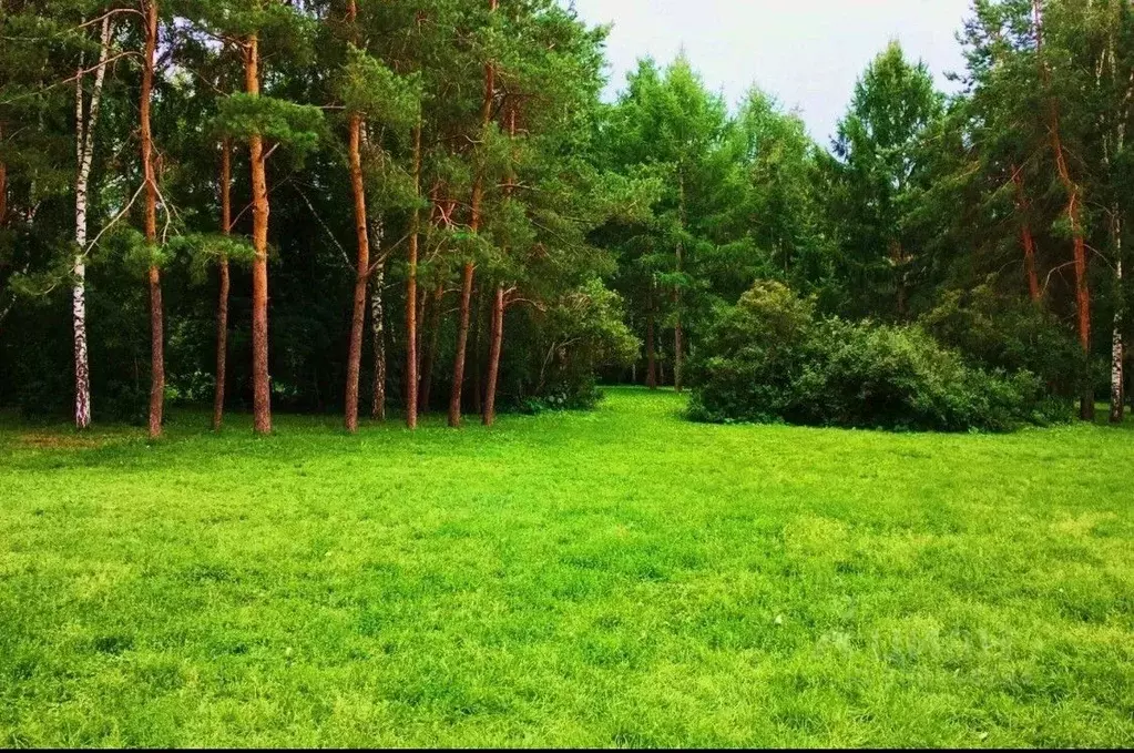 Участок в Московская область, Раменский городской округ, д. Обухово, ... - Фото 0