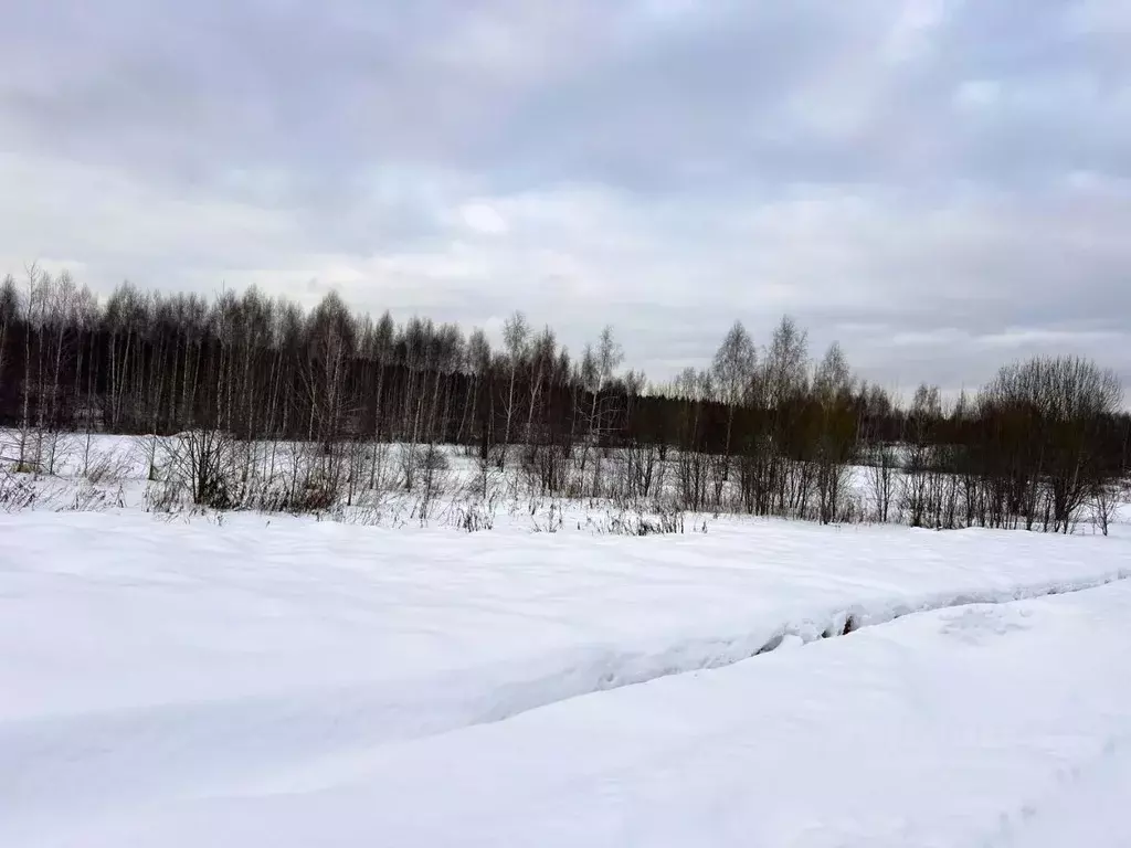 Участок в Московская область, Дмитровский муниципальный округ, Сбоево ... - Фото 2