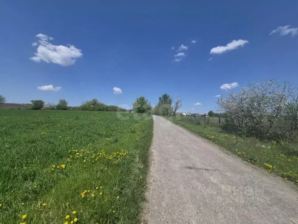Участок в Белгородская область, Чернянский район, Русскохаланское ... - Фото 1
