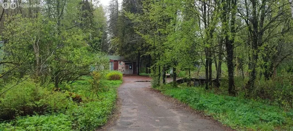 Участок в Сергиево-Посадский городской округ, территориальное ... - Фото 0