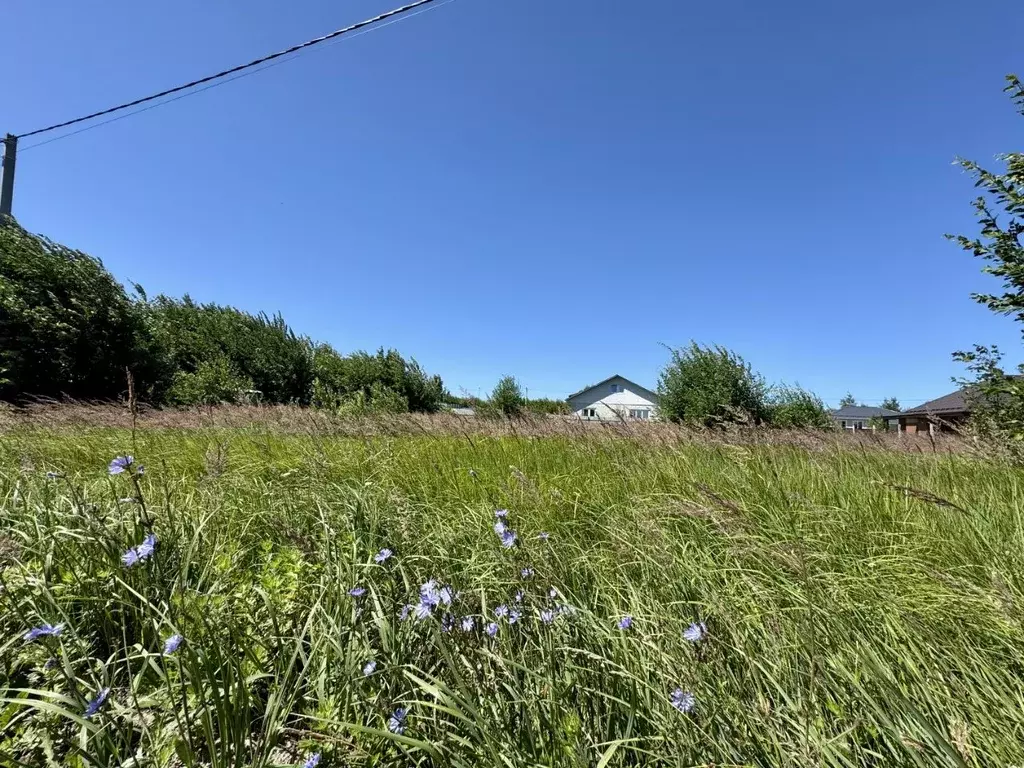 Участок в Московская область, Коломна городской округ, с. Лукерьино ... - Фото 2
