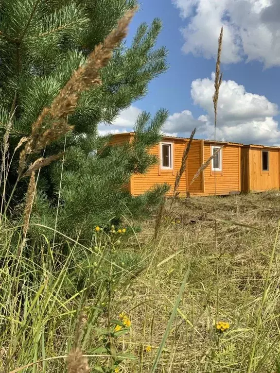 Участок в Калужская область, Тарусский муниципальный округ, Вознесенье ... - Фото 2