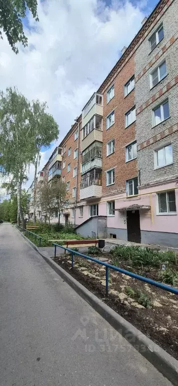 1-к кв. Чувашия, Чебоксары ул. Патриса Лумумбы, 4 (33.0 м) - Фото 1