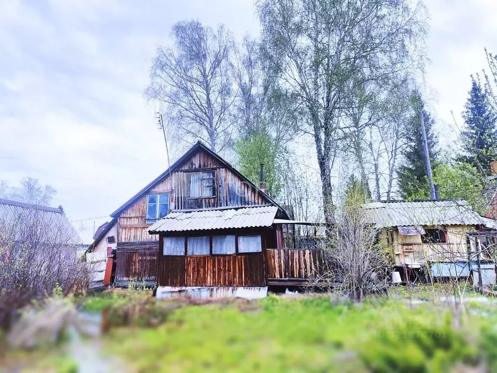 Участок в Новосибирская область, Тогучинский район, ... - Фото 1
