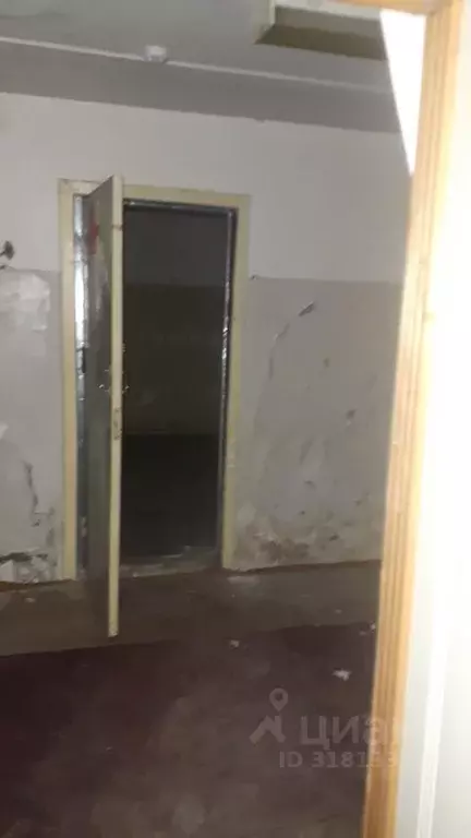 Помещение свободного назначения в Красноярский край, Железногорск ул. ... - Фото 1