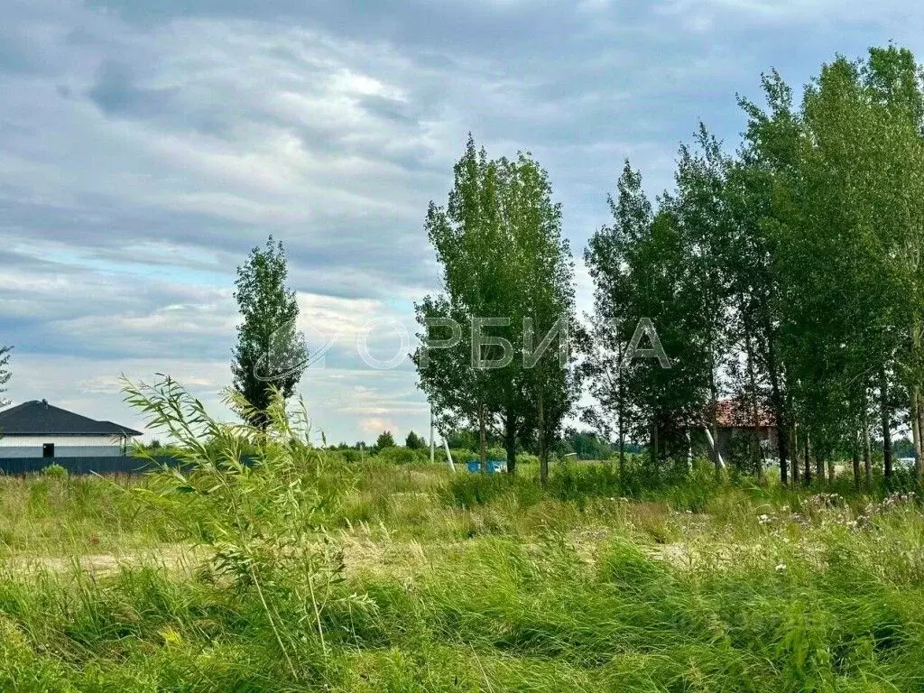 Участок в Тюменская область, Тюменский район, с. Перевалово, Чистые ... - Фото 0