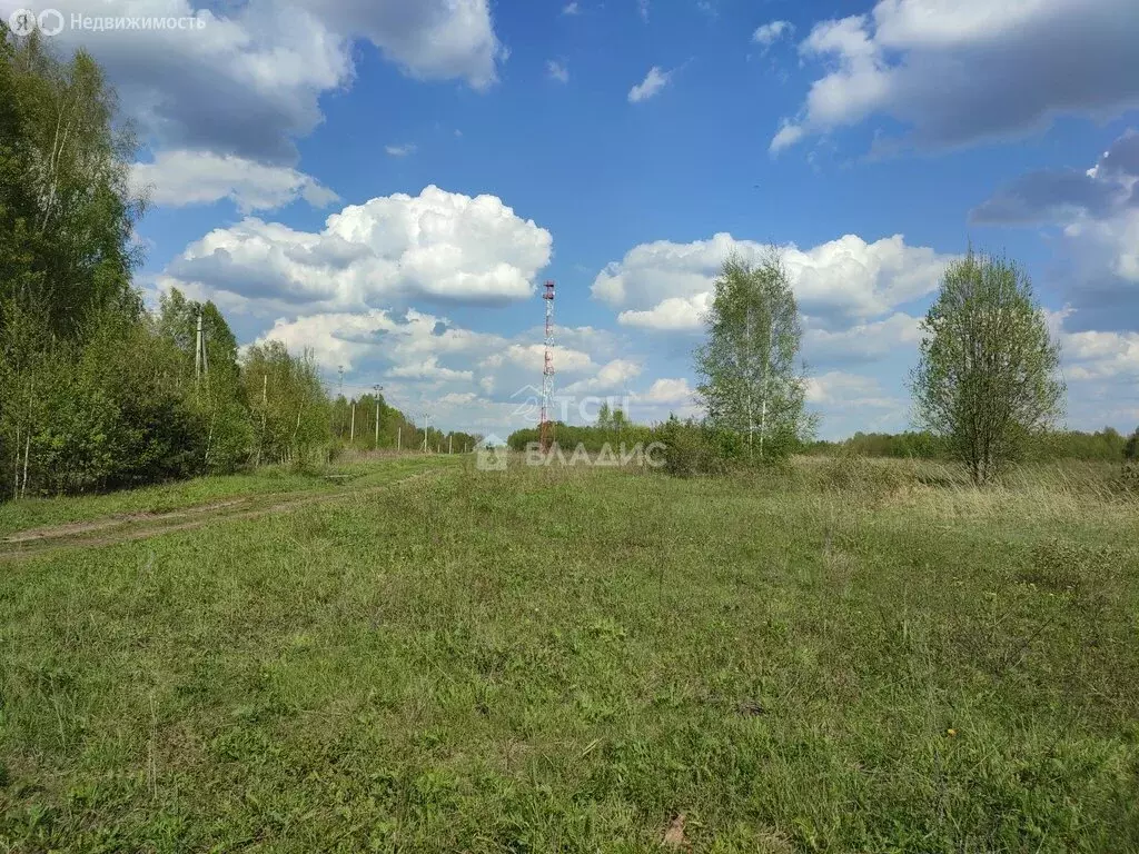 Участок в Богородский городской округ (68763 м) - Фото 0