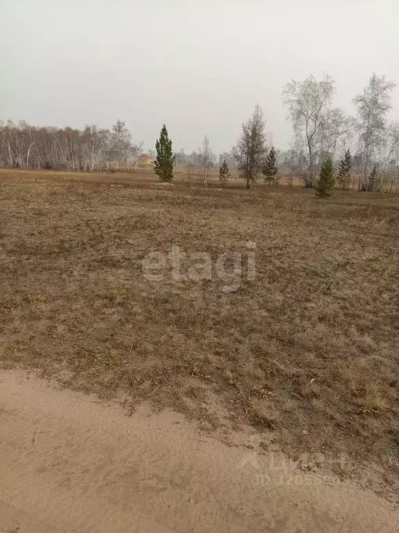 Участок в Саха (Якутия), Якутск Намский тракт 17-й километр тер.,  ... - Фото 1