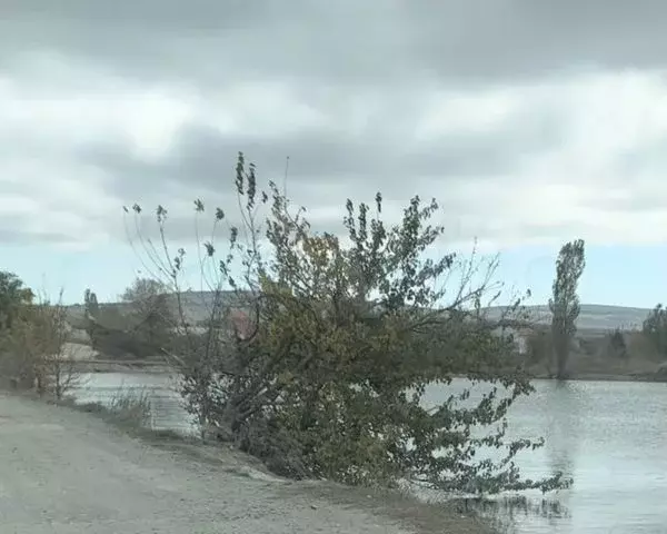Помещение свободного назначения в Крым, Симферопольский район, ... - Фото 0