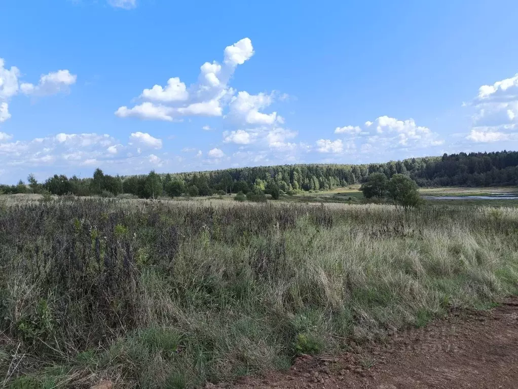Участок в Владимирская область, Кольчугинский район, Ильинское ... - Фото 2