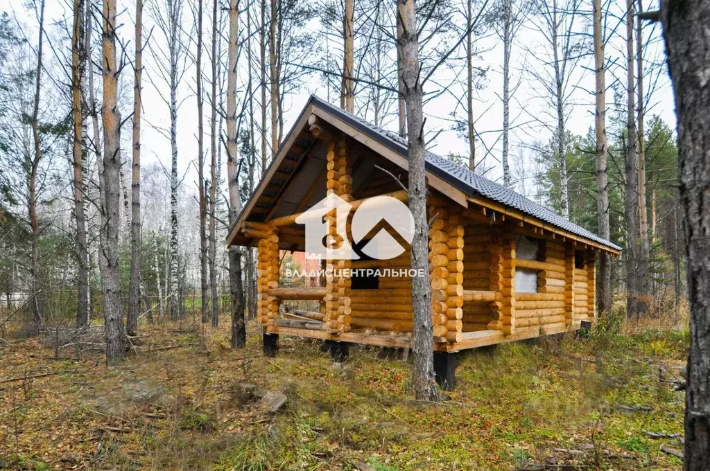 Участок в Новосибирская область, с. Новолуговое ул. Восточная (8.0 ... - Фото 0