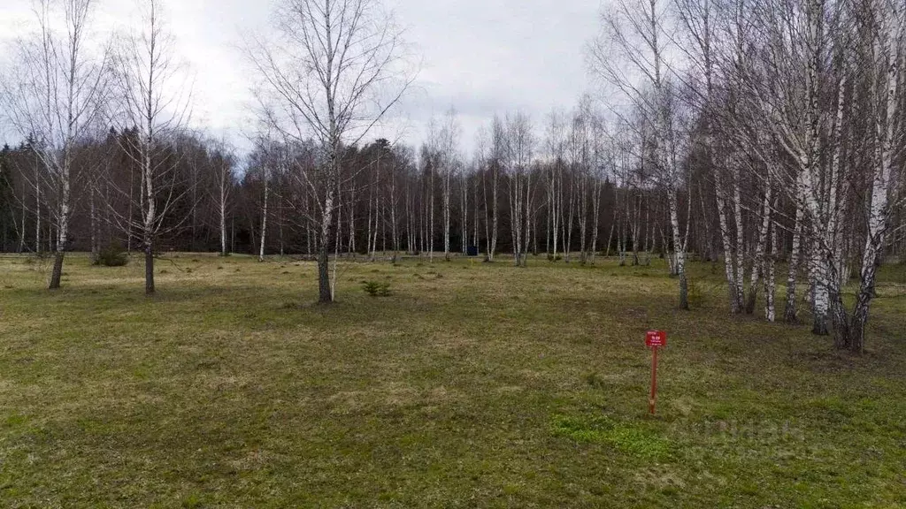 Участок в Московская область, Серпухов городской округ, Гринвилл кп 32 ... - Фото 2