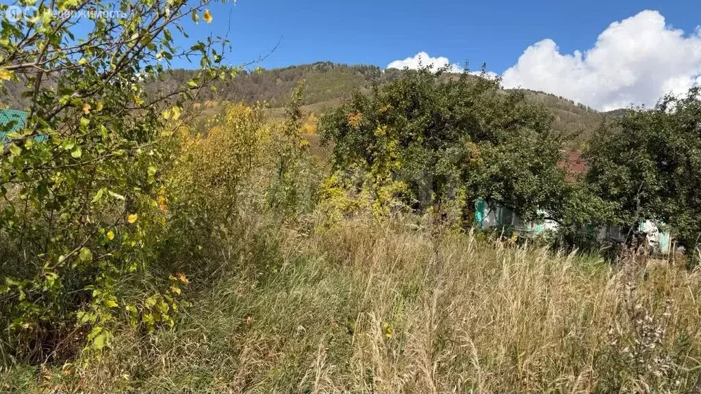Дом в Усть-Коксинский район, село Баштала, Весёлая улица (37.1 м) - Фото 2