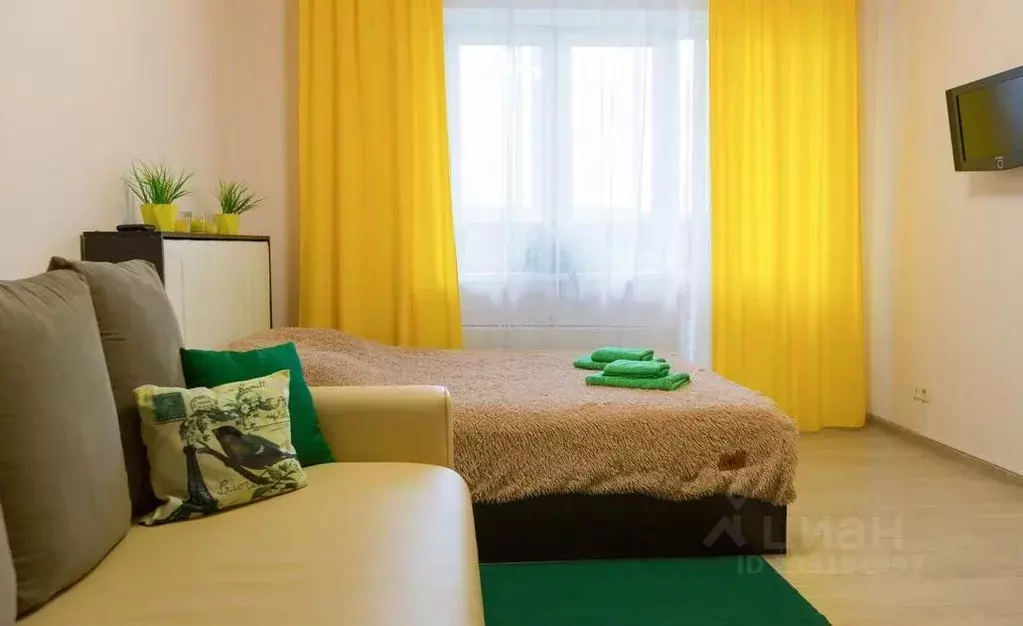 1-к кв. Московская область, Ногинск Богородский городской округ, ул. ... - Фото 2