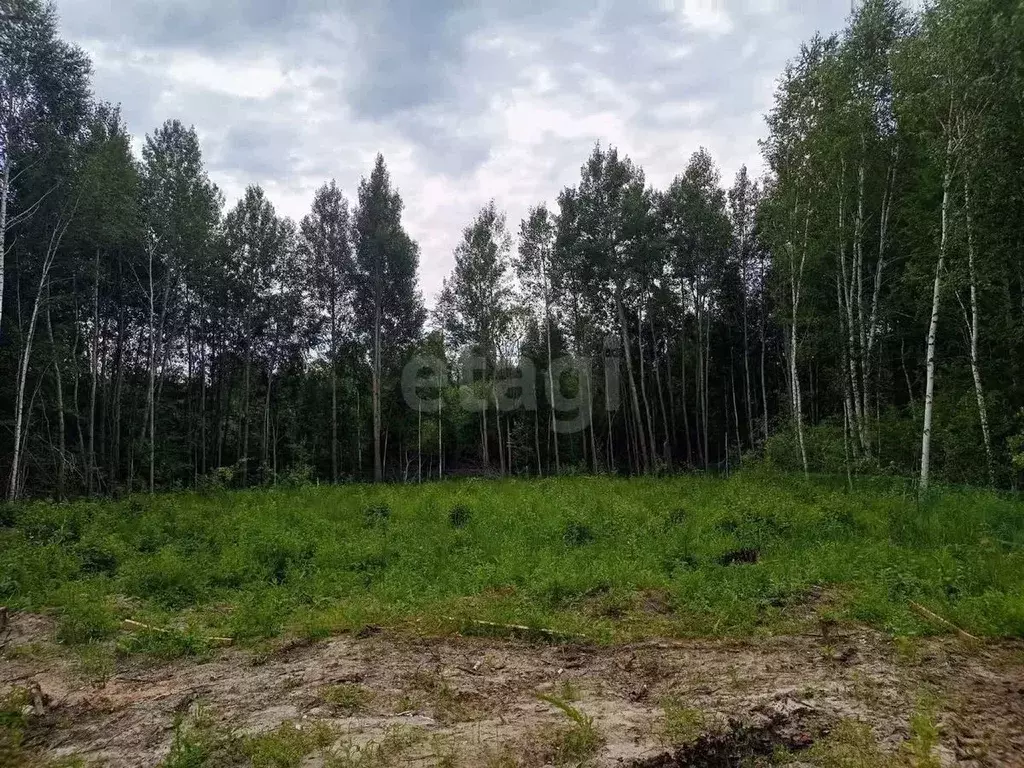 Участок в Тюменская область, Нижнетавдинский муниципальный округ, ... - Фото 2