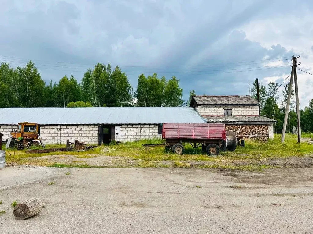 Производственное помещение в Смоленская область, Краснинский район, д. . - Фото 1