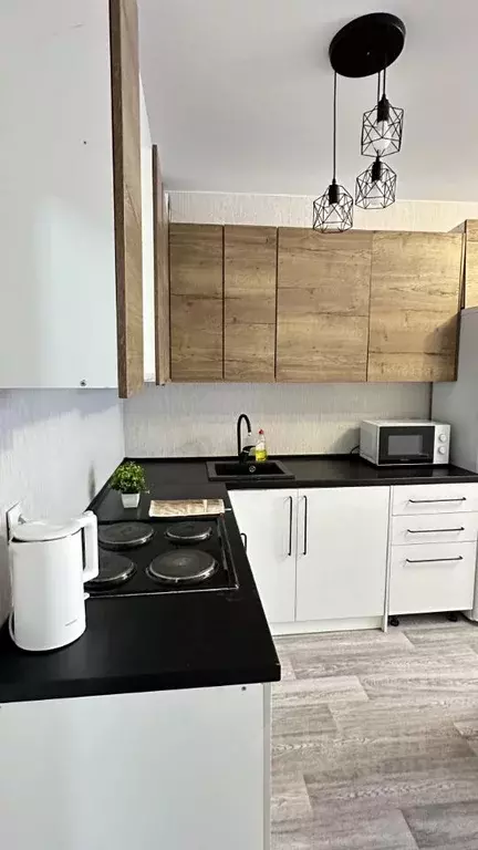 1-к кв. Новосибирская область, Новосибирск Спортивная ул., 49 (50.0 м) - Фото 2