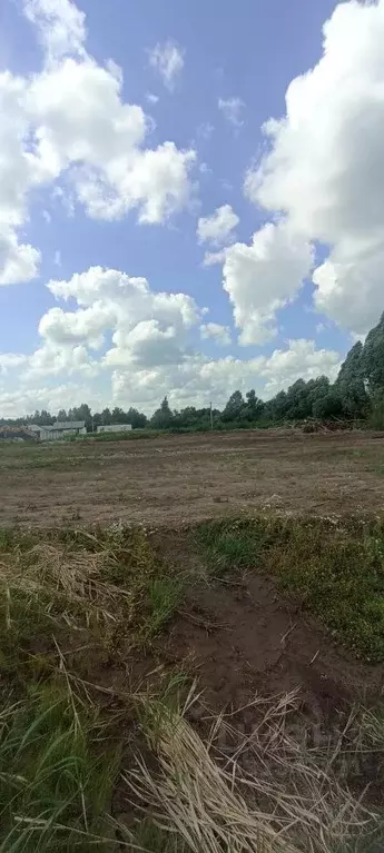 Участок в Рязанская область, Рязанский муниципальный округ, с. Поляны ... - Фото 1