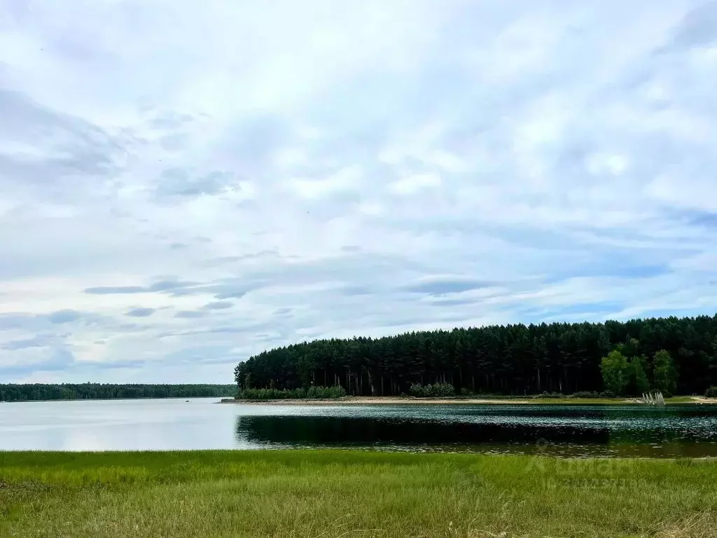 Участок в Иркутская область, Иркутский муниципальный округ, Петровская ... - Фото 1