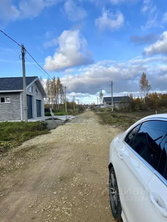 Участок в Ленинградская область, Ломоносовский район, Пениковское ... - Фото 1