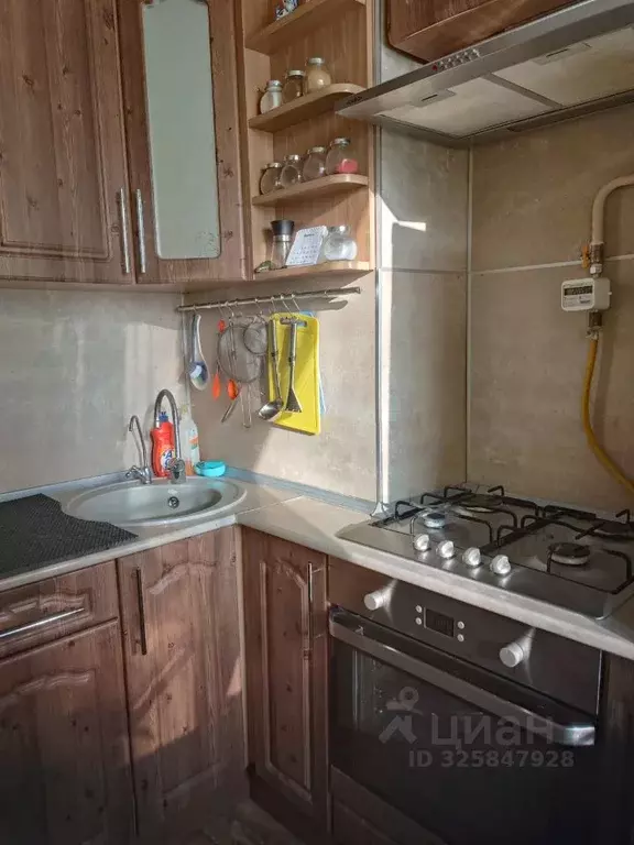 1-к кв. Липецкая область, Липецк ул. Циолковского, 32/3 (32.0 м) - Фото 1