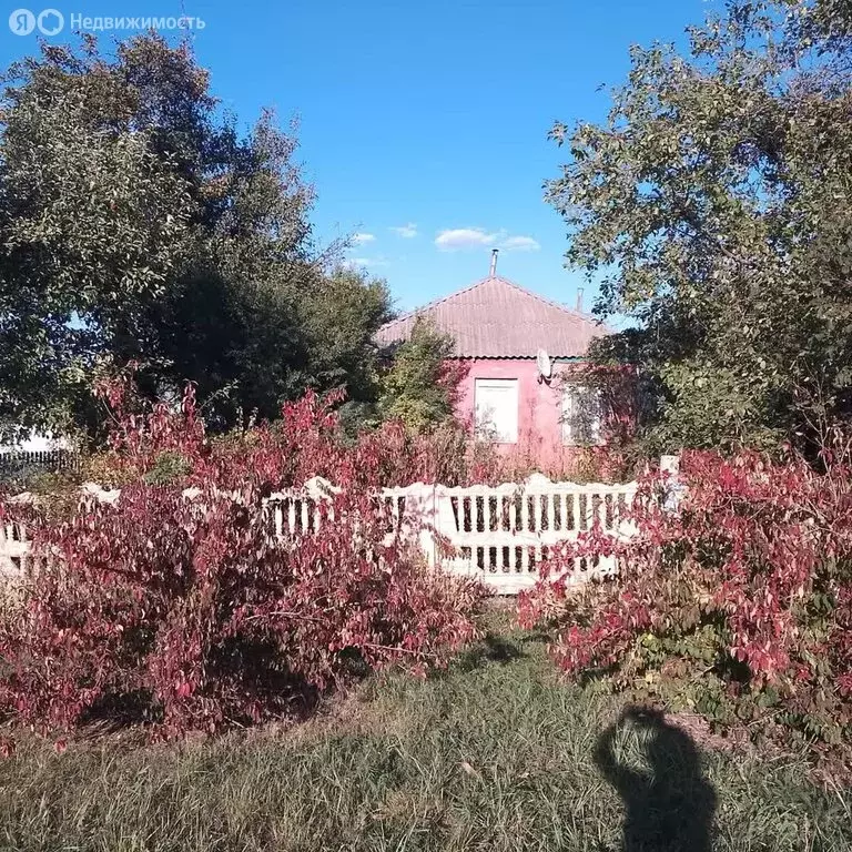 Дом в Вейделевка, улица Мира (44.9 м) - Фото 1