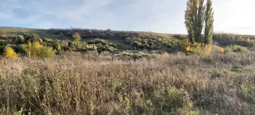 Участок в Крым, Кировский район, Первомайское с/пос, с. Изюмовка ул. ... - Фото 1