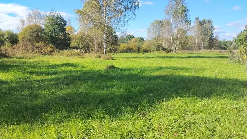 Участок в Московская область, Орехово-Зуевский городской округ, д. ... - Фото 2