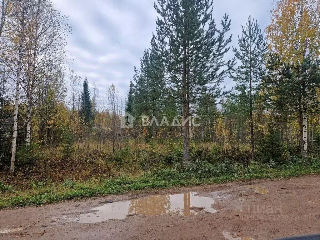 Участок в Коми, Сыктывдинский район, Выльгорт муниципальное ... - Фото 1