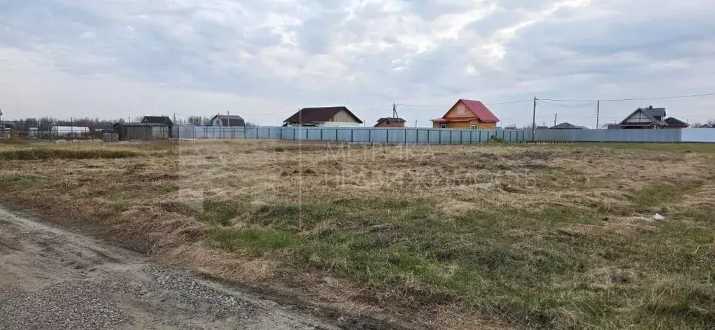 Участок в Тюменская область, Тюмень Большое Царево-2 СНТ, ул. Янтарная ... - Фото 2