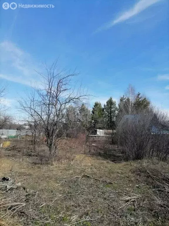 Участок в Курган, СНТ Зауралье (6.33 м) - Фото 2