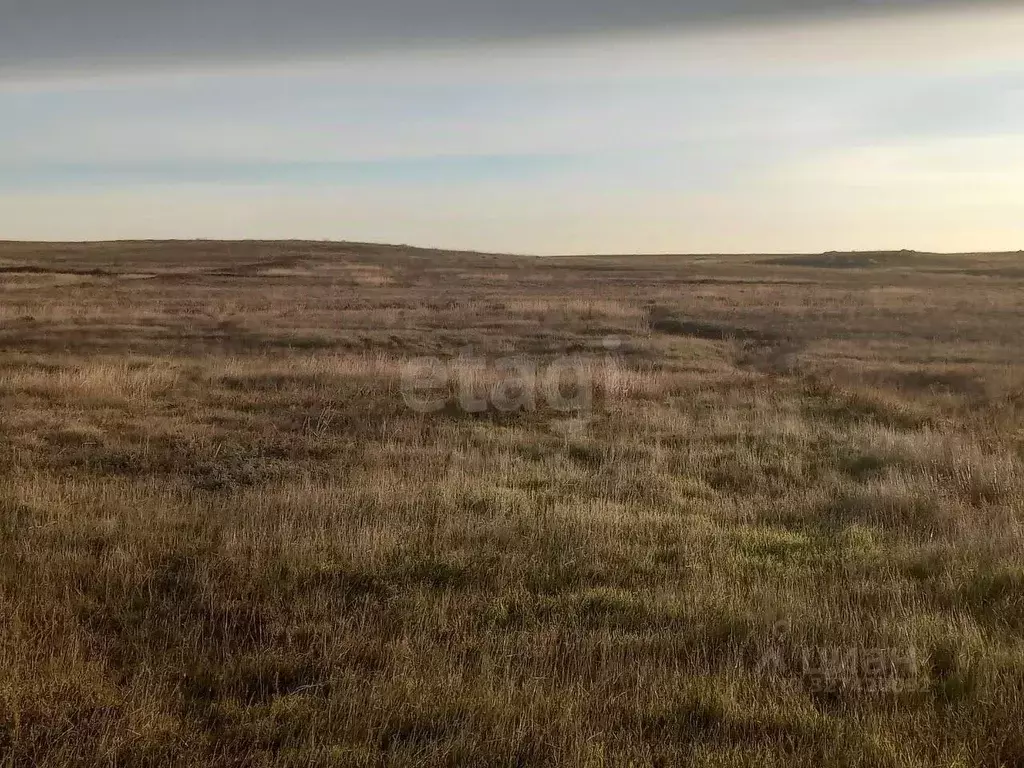 Участок в Крым, Ленинский район, с. Калиновка ул. Шевченко (6.3 сот.) - Фото 1