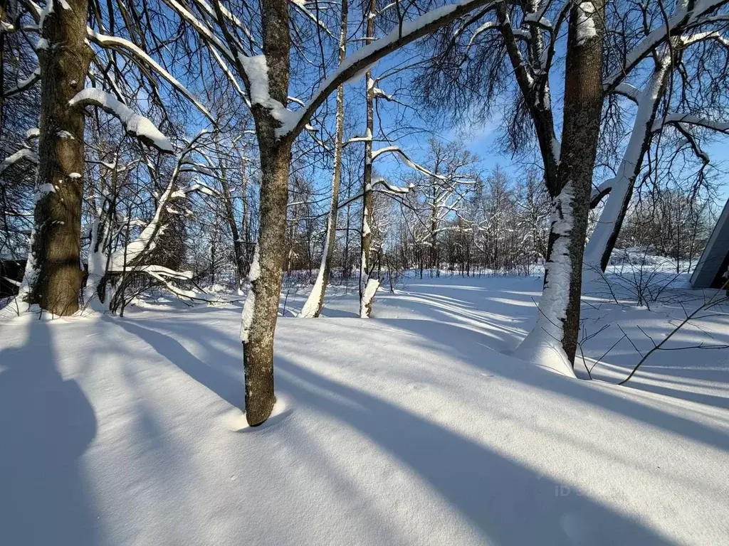 Участок в Московская область, Истра ул. Ленина, Река Истра (7.2 сот.) - Фото 1