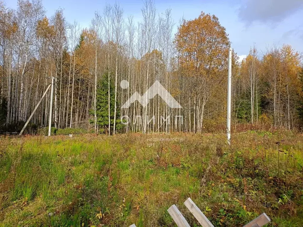 Участок в Вологодская область, Лечебное садоводческое товарищество 40 ... - Фото 0