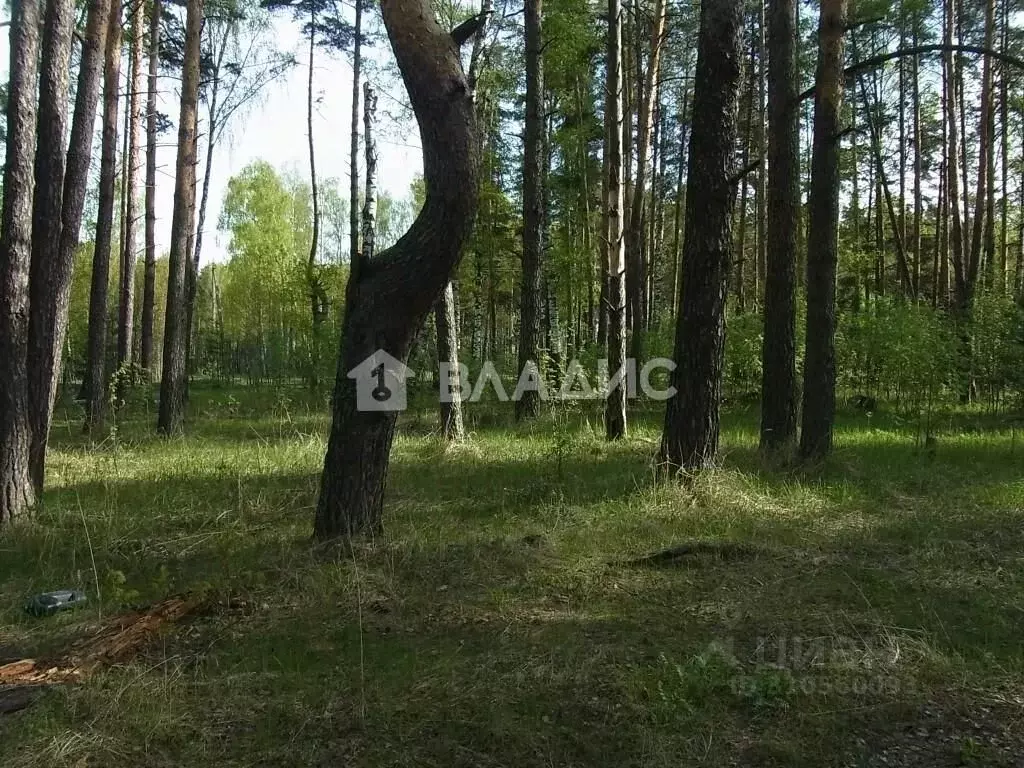 Участок в Владимирская область, Судогодский район, Лавровское ... - Фото 1