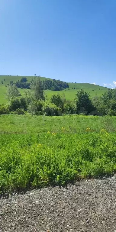 Участок 6,9 га (СНТ, ДНП) - Фото 1