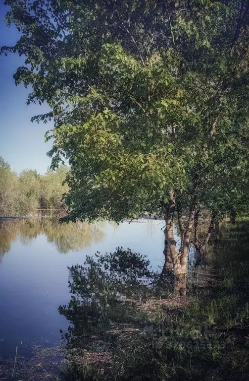 Участок в Ростовская область, Веселовский район, Верхнесоленовское ... - Фото 0