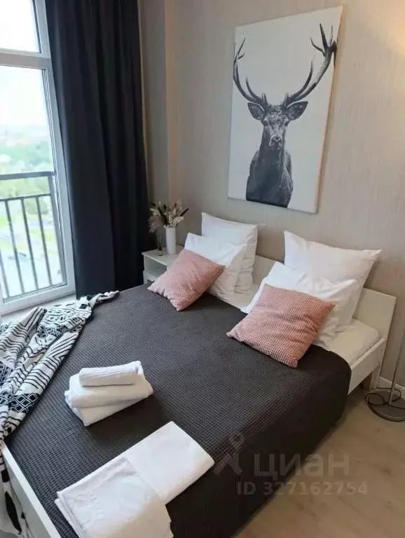 1-к кв. Санкт-Петербург Пулковское ш., 14с6 (26.0 м) - Фото 2