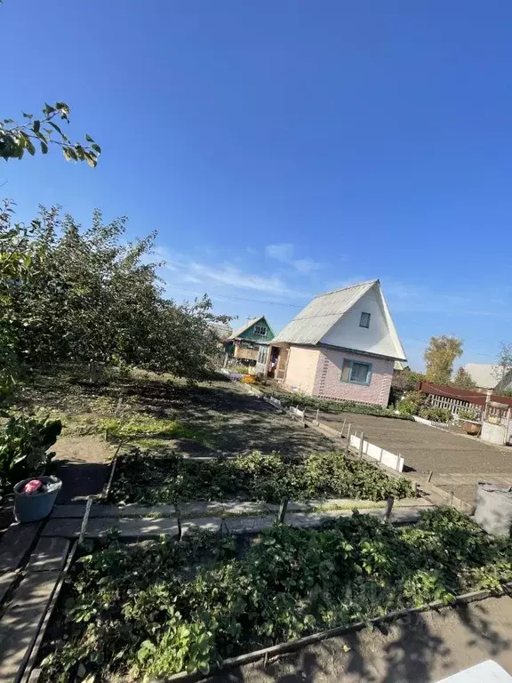 Дом в Омская область, Омск Сатурн нижний СНТ, аллея 4-я, 277 (30 м) - Фото 2