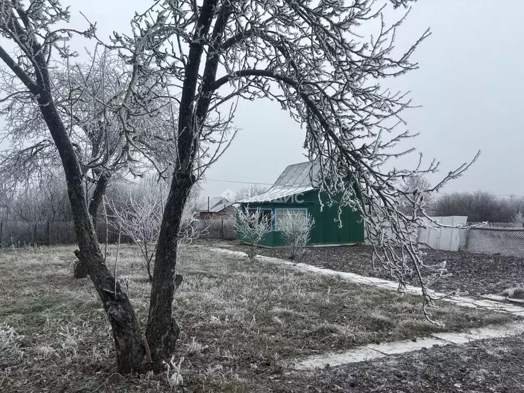 Участок в Московская область, Зарайск муниципальный округ, д. ... - Фото 1