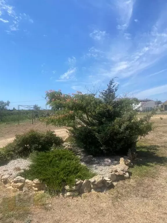 Участок в Крым, Сакский район, Уютненское с/пос, Орбита СПК ул. ... - Фото 1