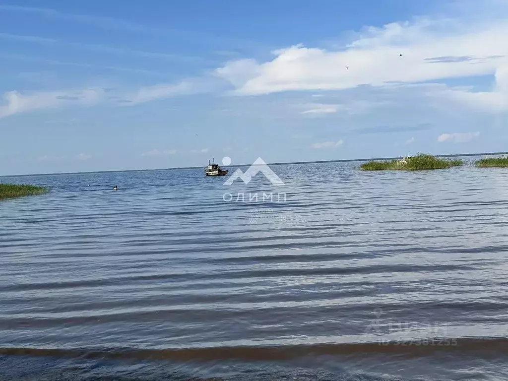 Участок в Вологодская область, д. Новое (Борисовский сельсовет)  (29.0 ... - Фото 1